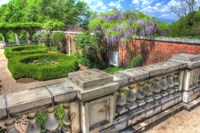 Blithwood 1 Fine Art Print