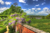 Blithwood 3 Fine Art Print