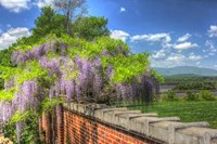 Blithwood 4 Fine Art Print