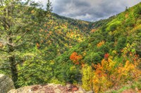 Catskills Hollow Fine Art Print