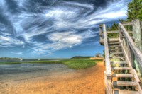 CC Cove 3 Fine Art Print