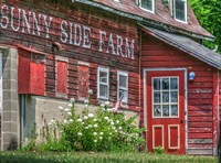 Farm Lettering 1 Fine Art Print