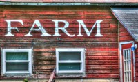 Farm Lettering 2 Fine Art Print