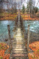Footbridge Vertical Fine Art Print