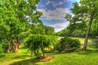 Formal Garden Trees Fine Art Print