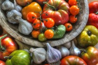 Harvest 2014 1 Fine Art Print