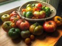 Harvest 2014 2 Fine Art Print