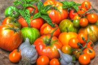 Harvest 2014 3 Fine Art Print