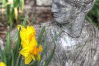 Head Turner Fine Art Print