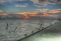 Key West Sunrise Gulls and Pier Fine Art Print
