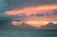 Key West Sunset IV Framed Print