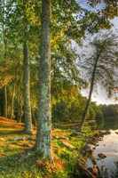 Lakeside Vertical Fine Art Print