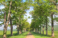 Mohonk I Fine Art Print