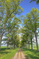 Mohonk II Fine Art Print