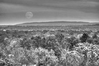 Moonrise B&W Fine Art Print