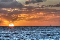 Blue Sea Gulls and Clipper Fine Art Print