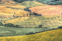 Tuscan Field Patterns Fine Art Print