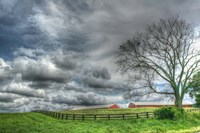 Paddock Storm Fine Art Print