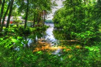 Pond Cove Fine Art Print