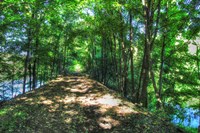 Railtrail Viaduct Fine Art Print