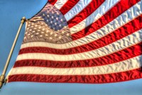 The Colors Fine Art Print