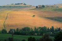 Tuscan Hill II Fine Art Print