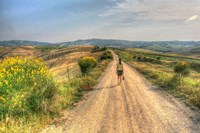 Tuscan Model Release Fine Art Print