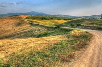Tuscan Ridge Top Trail Fine Art Print