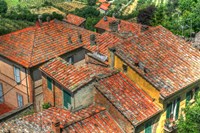 Tuscan Roofs Fine Art Print