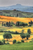Tuscan Vertical Switchbacks Fine Art Print