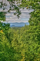 Val Kill View Vertical Fine Art Print