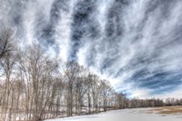 Winter Treeline Fine Art Print
