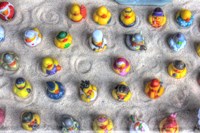 Rubber Duckies from Above Fine Art Print