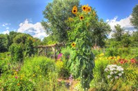 Sunflowers and Garden Fine Art Print