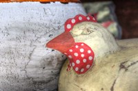 Polka Dot Chicken Fine Art Print