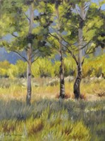 Aspens Fine Art Print