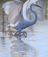 The Dance Fine Art Print