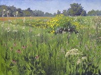 Summer Meadows Fine Art Print