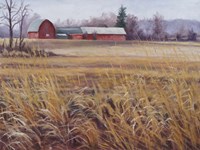 On the Farm Fine Art Print
