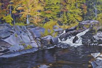 Brook Fine Art Print