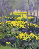 Yellow Carpet Fine Art Print