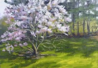Magnolia Fine Art Print