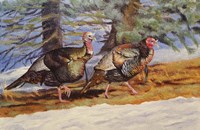 The Boys Fine Art Print