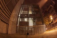 Syc Aloneii Fine Art Print