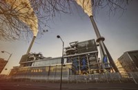 Syctom Dec Fine Art Print