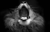 Mujambi Fine Art Print