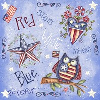 Patriotic Pattern I Fine Art Print
