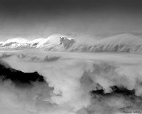 Night... Mare Fine Art Print