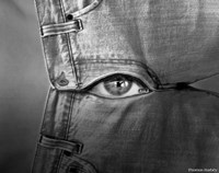 Private Eye Fine Art Print