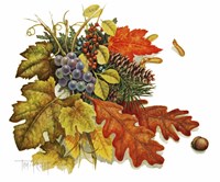 Autumn Fine Art Print